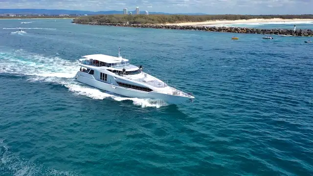 Small Group, Super Yacht Whale Watching Experience