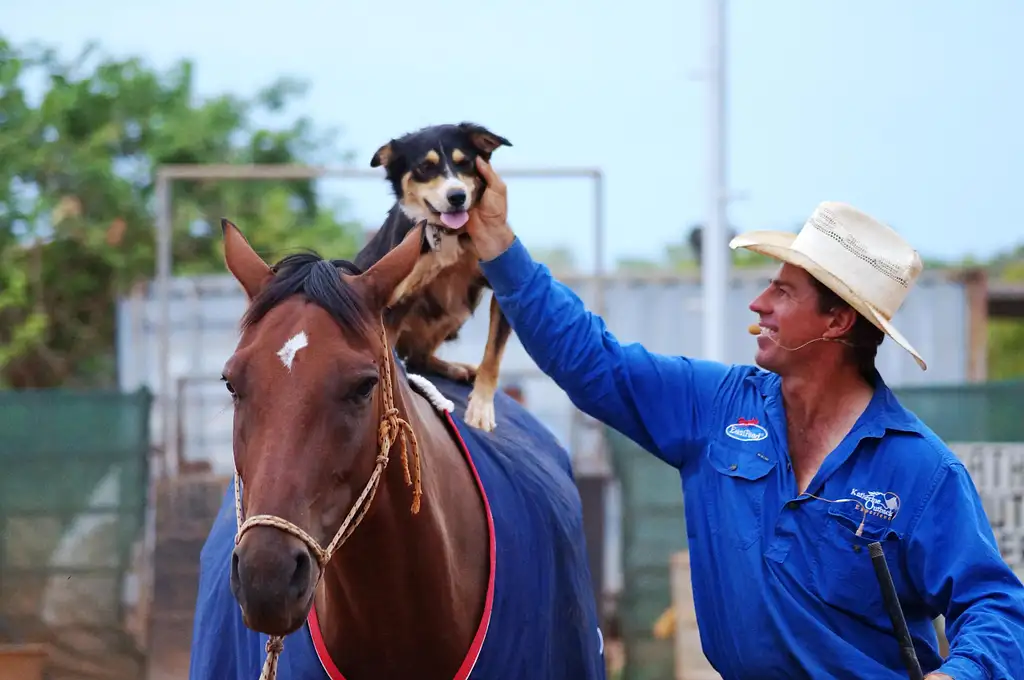 Katherine Outback Experience Show