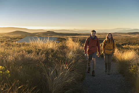 New Zealand Wanderer Deals