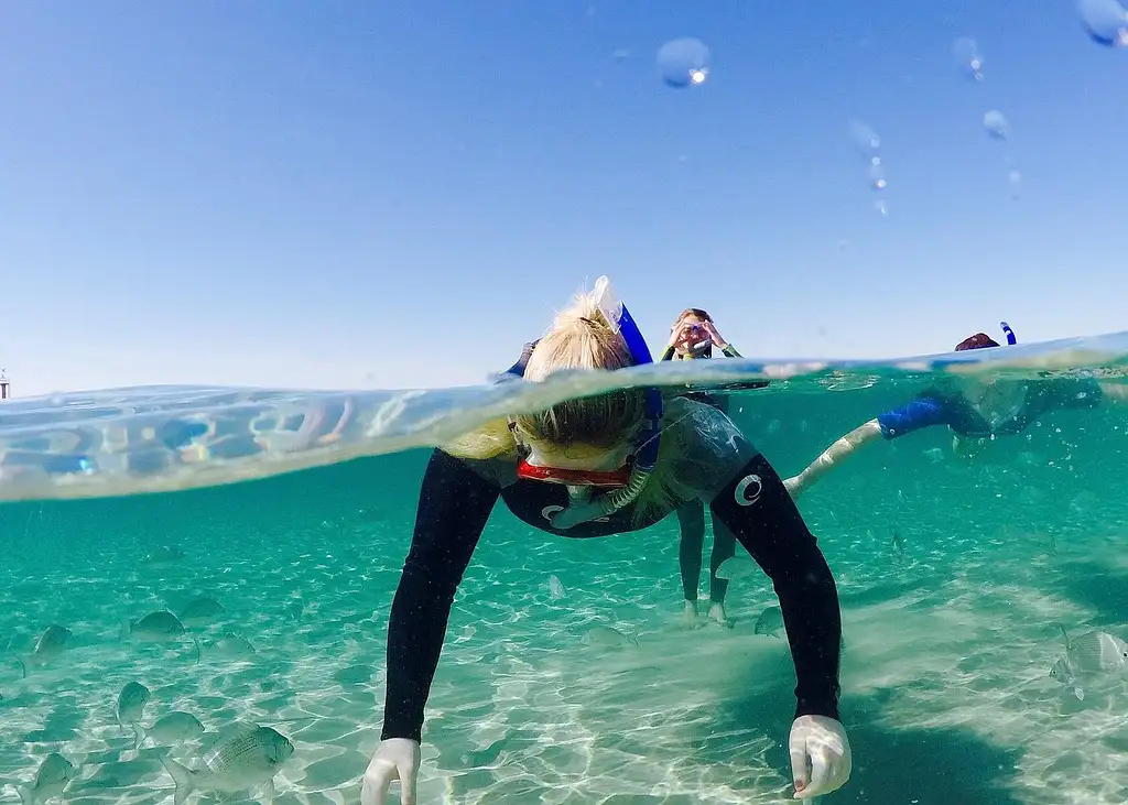 Morning Dolphin Kayaking & Snorkelling Tour