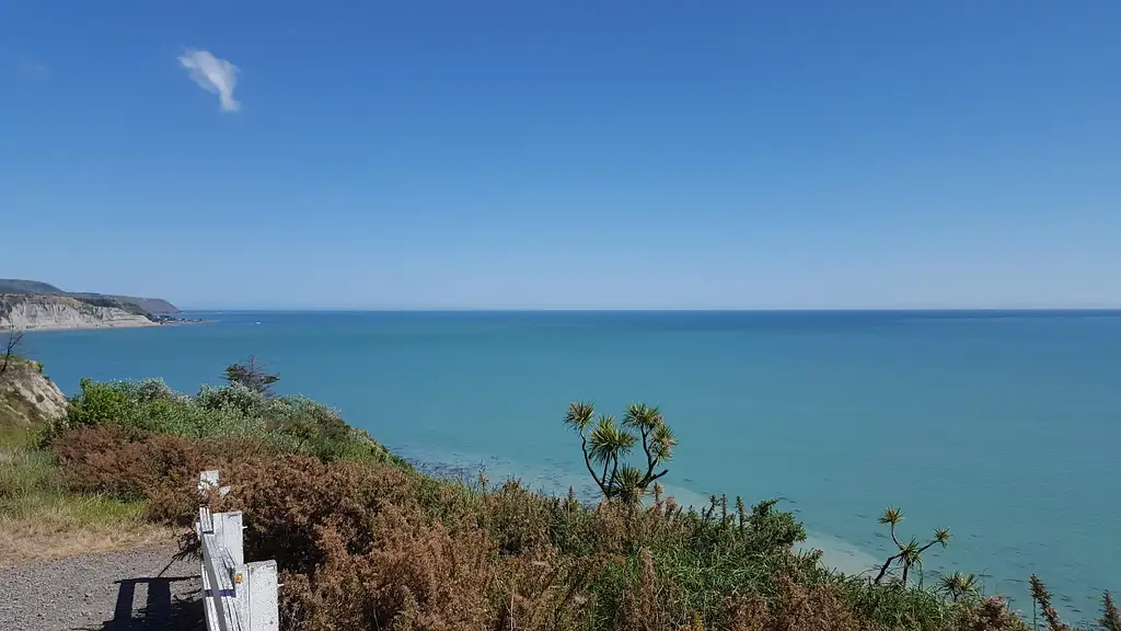 Wine & Wild Coast Tour | Wellington