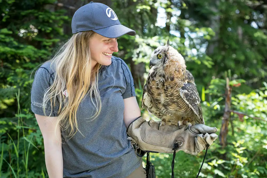 Grouse Mountain Admission Ticket