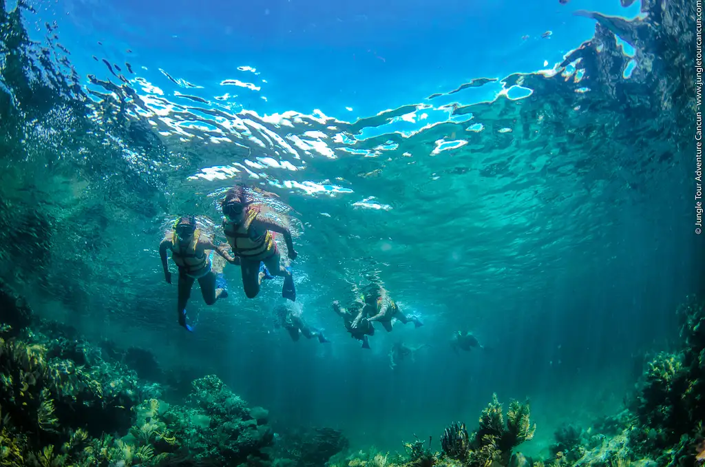Cancun Speed Boat & Snorkelling Tour