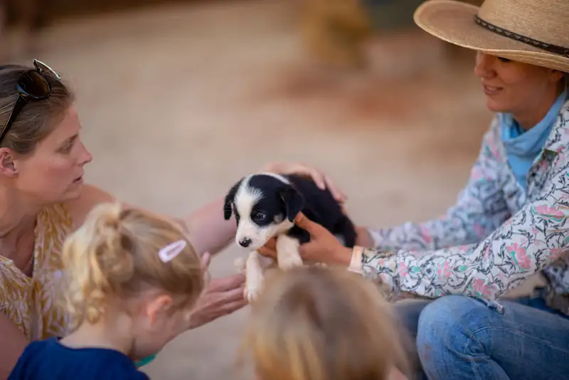 Katherine Outback Show