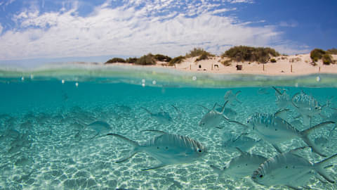 Coral Bay