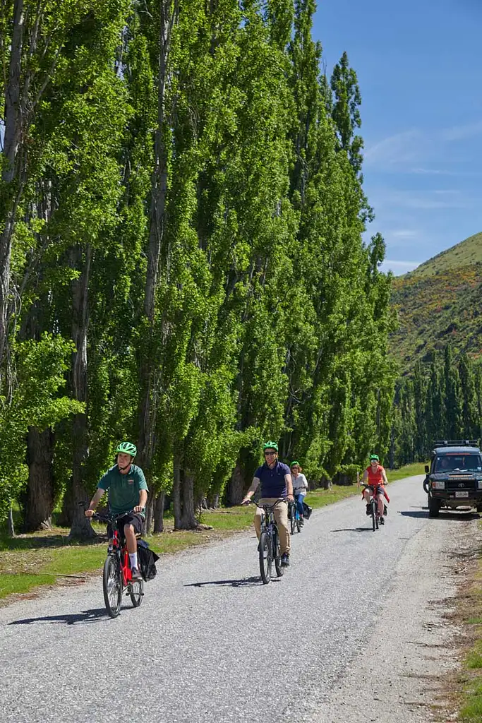 Guided Winery Tour by E-Bike | From Queenstown