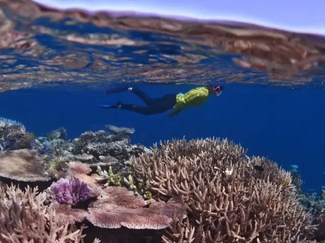 3 Day Outer Reef Cruise | on Kiana