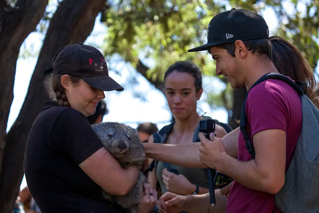 Mount Field, Mt Wellington & Wildlife Sanctuary Tour From Hobart