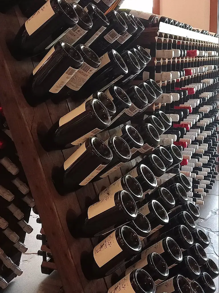 Sirromet Winery: Winery Tour & Tasting 2-course Lunch