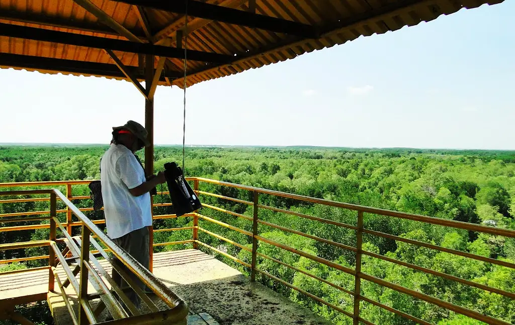 Can Gio and Monkey Island Tour with Lunch | Full Day Guided Tour