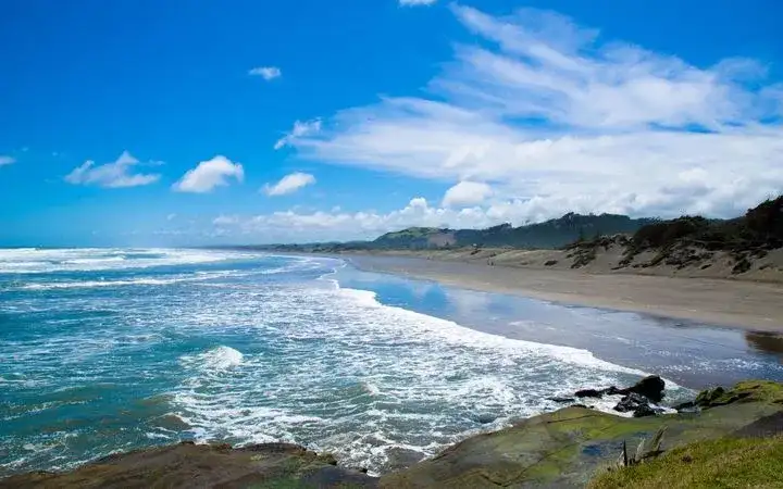 Muriwai Beach & Gannet Eco Tour | Private Tour