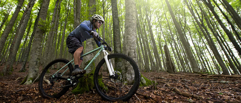Best Deals for mountain Biking