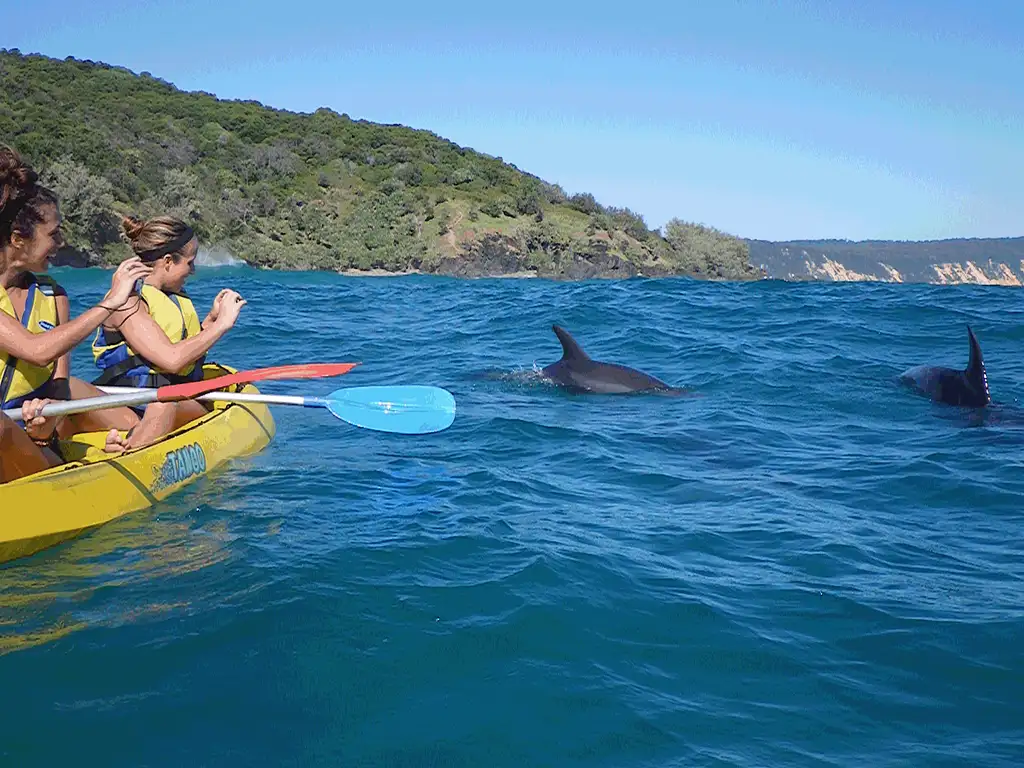 Dolphin View Kayak Tour + Surf Lesson with 4WD Beach Adventure from Noosa