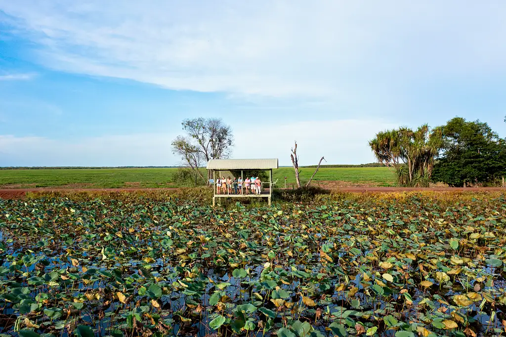 4 Day Kakadu & Katherine Gorge Experience | From Darwin (BDTNT200EXT)