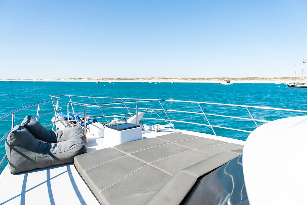 Full-Day Luxe Rottnest Island Seafood Cruise & Ferry Transfers ex Perth or Fremantle