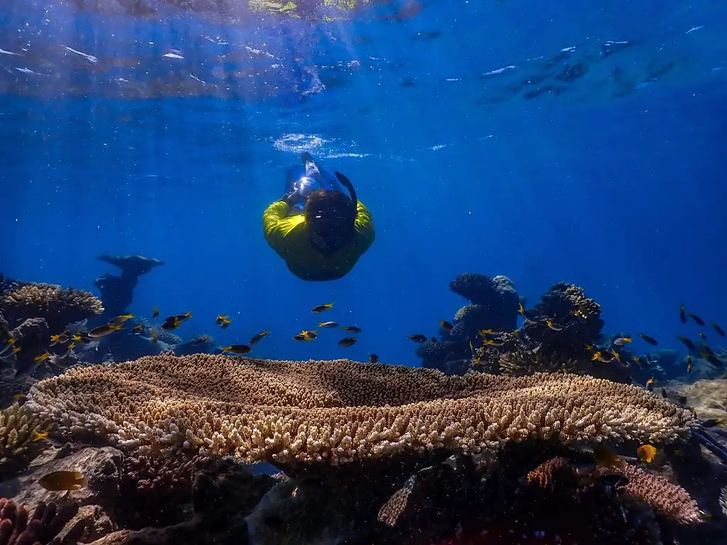 Outer Reef Mackay Cay Cruise