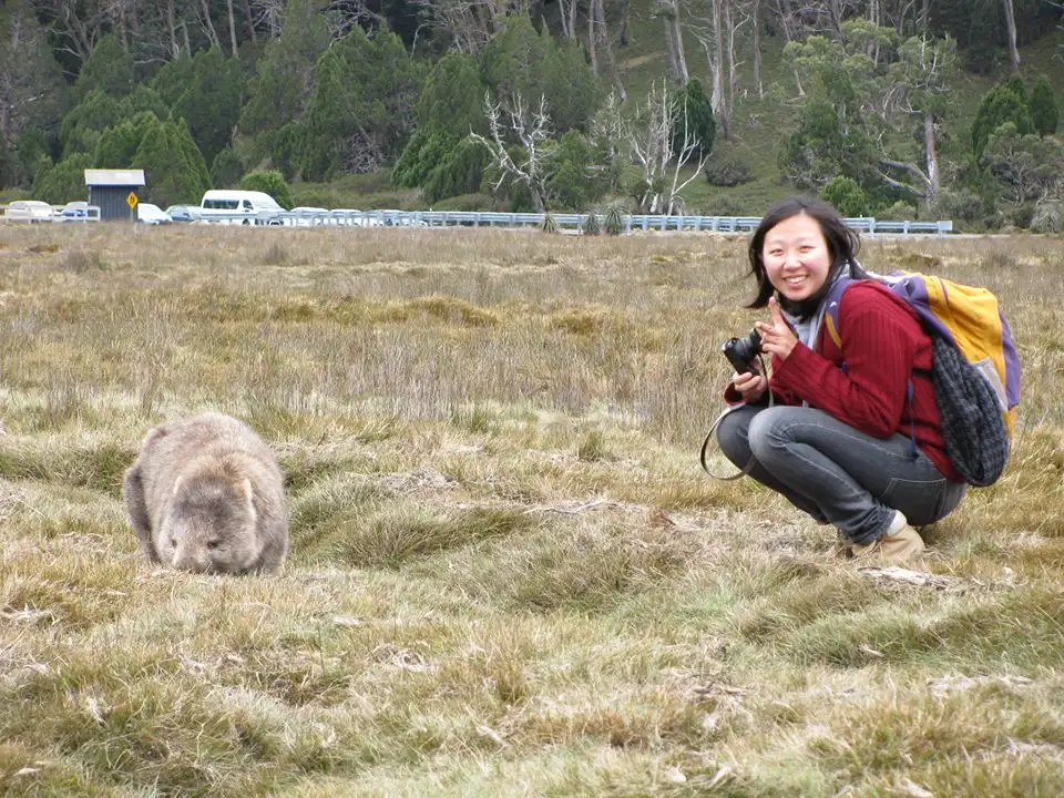 Cradle Mountain World Heritage Day Tour from Launceston