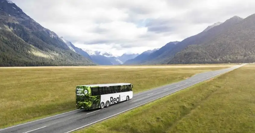 Milford Sound Overnight Cruise and Coach | From Queenstown or Te Anau