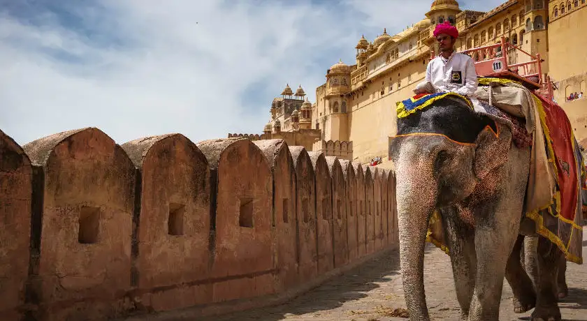 South & North India Tour