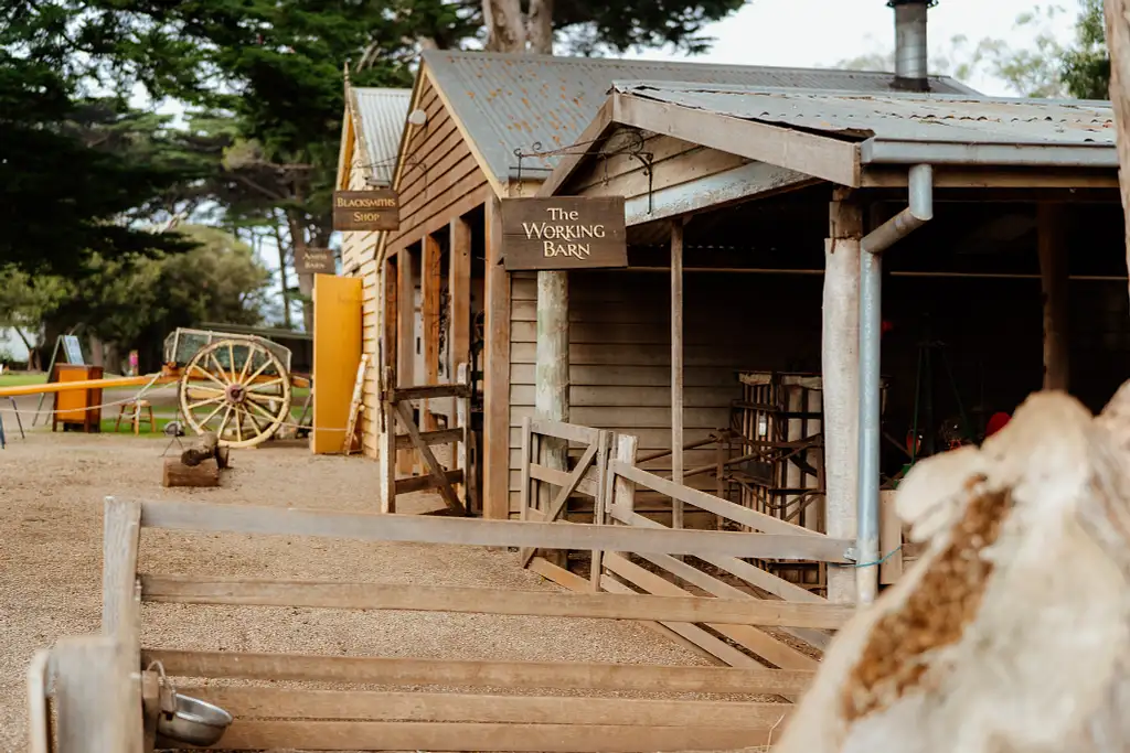 Phillip Island Penguin Parade & Churchill Island Farm Bus Tour