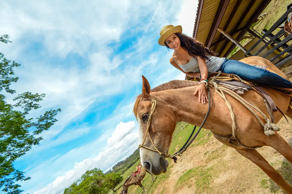 One Day Adventure Pass at Vida Aventura Nature Park