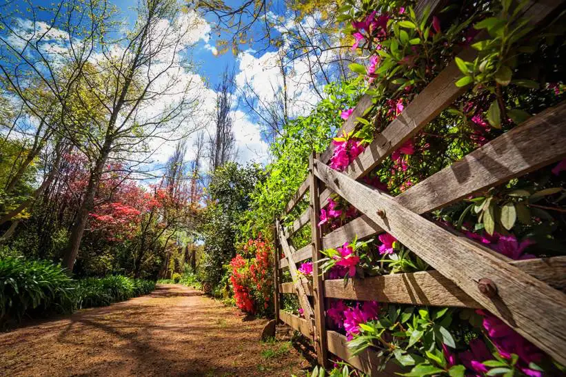 Bickley Valley Wine Trail - Private Half Day Tour from Perth