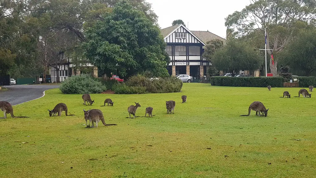 Yanchep, Koalas & Crystal Cave Tour - ex Perth
