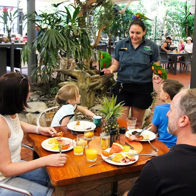 Wildlife Habitat Entry + Breakfast with the Birds | Port Douglas