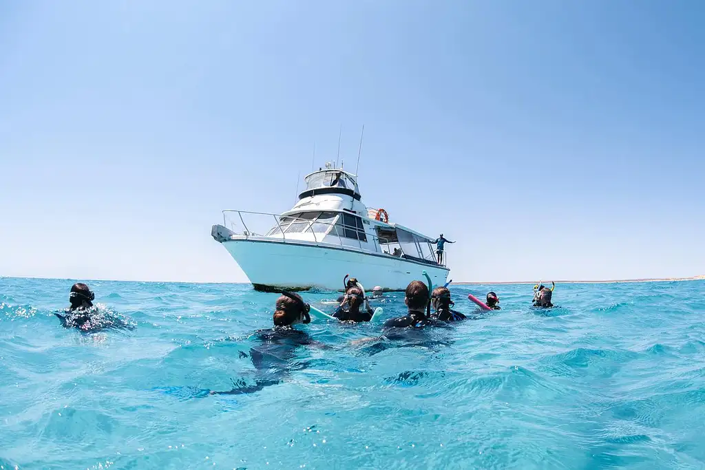 Ningaloo Reef Humpback Whale Adventure Tour from Coral Bay