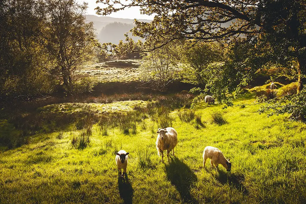 Windermere, Lancaster, and the Lakes District Tour From Manchester | Small Group