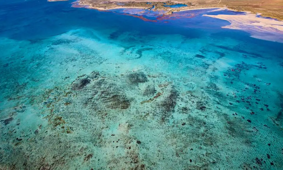 60 min Birds Eye View Ningaloo Microlight Lesson