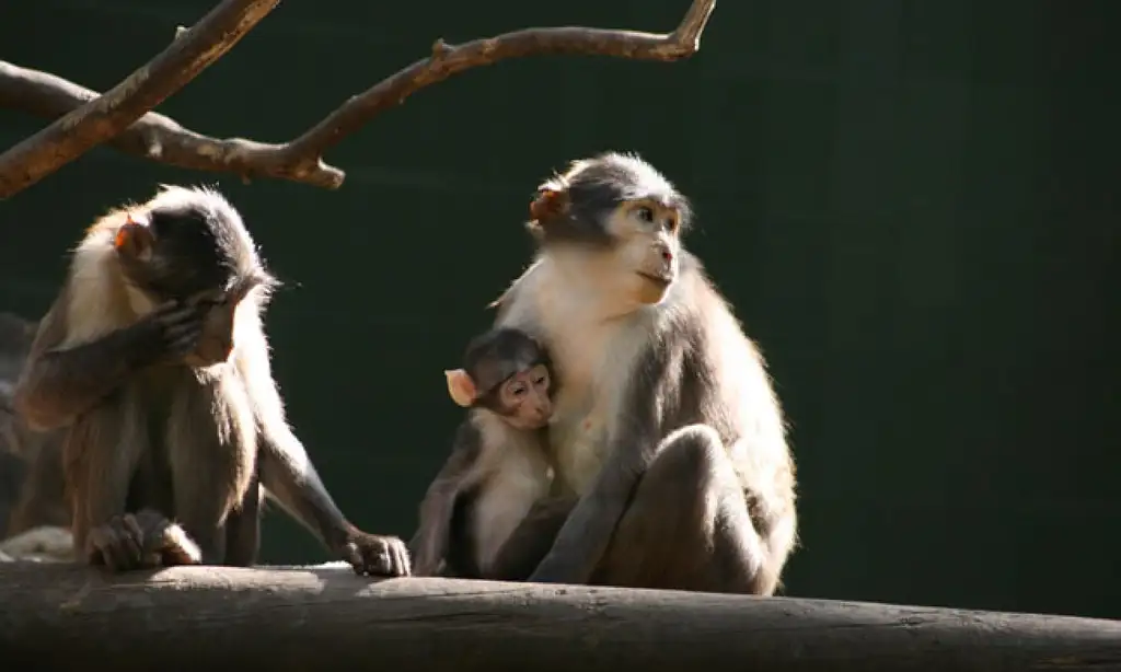 Barcelona Zoo Tickets