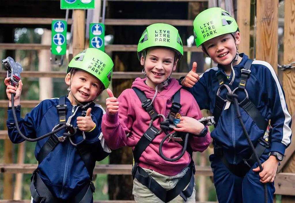 Lorne Short Circuit Treetop Adventure