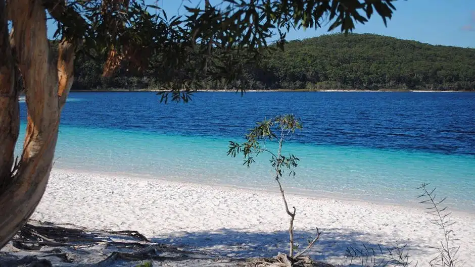Dingos 2 Day K'gari (Fraser Island) 4WD Tag-Along Adventure