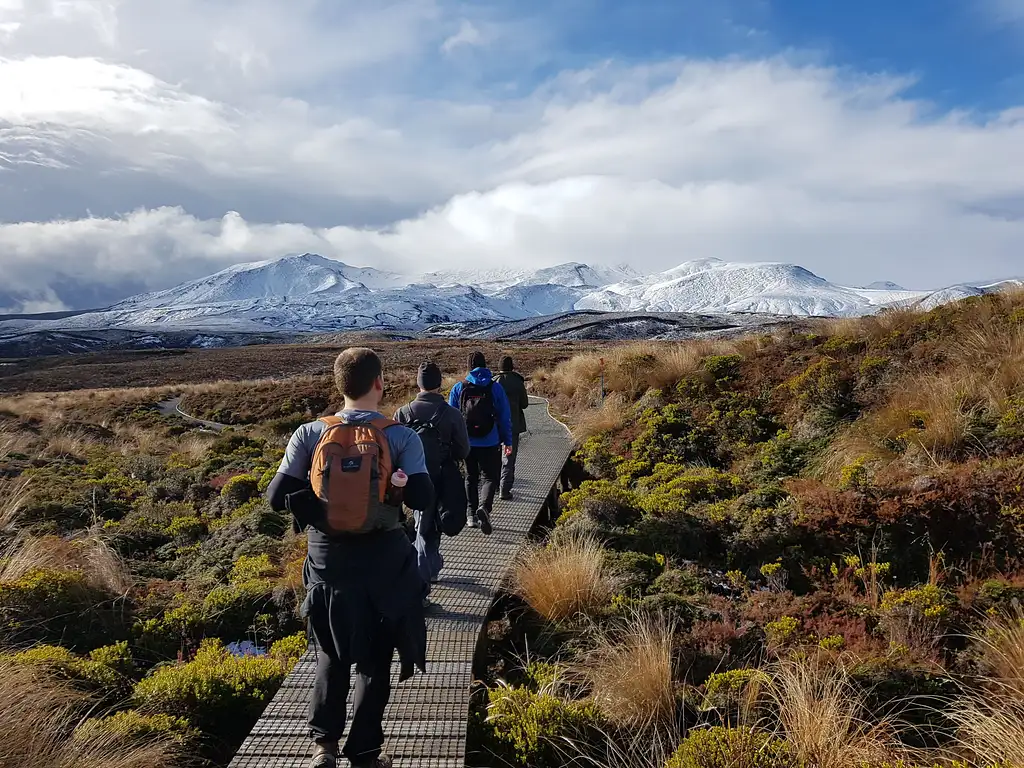 10 Day Hihi Tour | Auckland to Wellington | Stray
