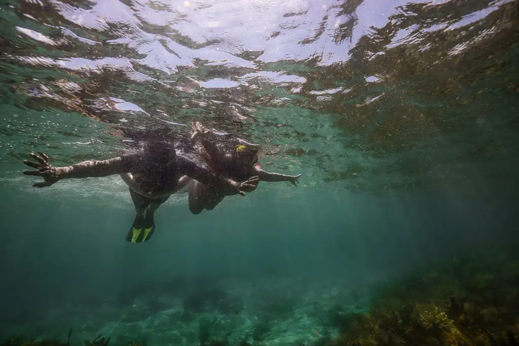 Port Stephens Island Snorkelling Adventure