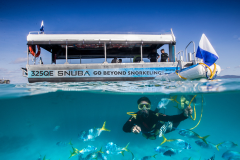 Green Island Reef Cruises Snorkelling