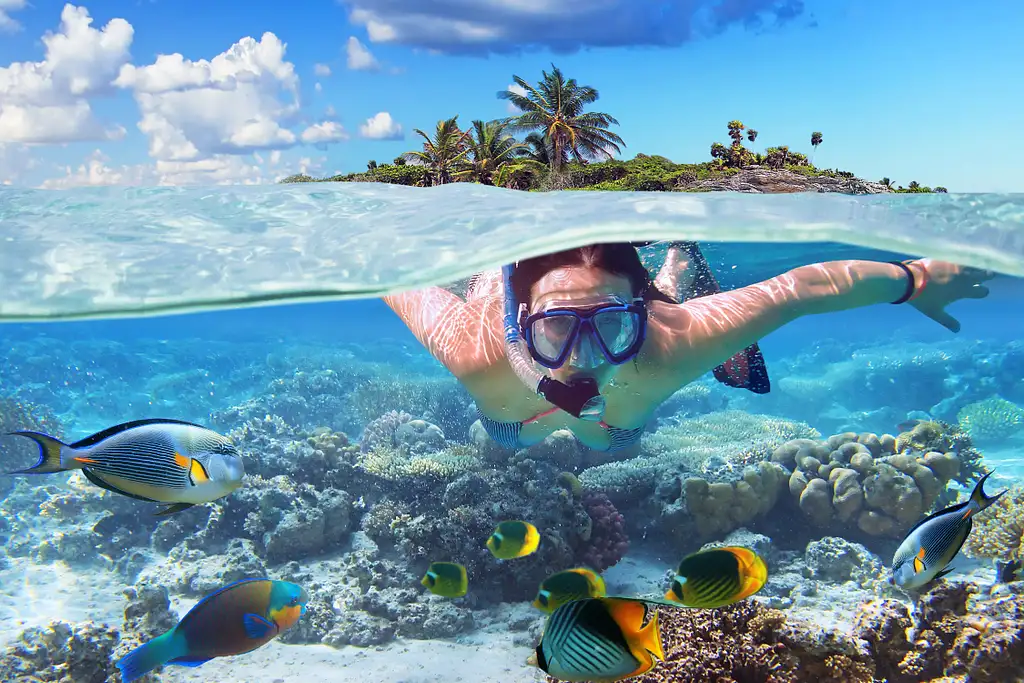 Whitsunday Island & Whitehaven Beach Safari - Airlie Beach