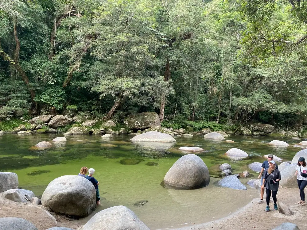 Ngadiku Dreamtime Walk | Mossman Gorge + Daintree Croc Cruise