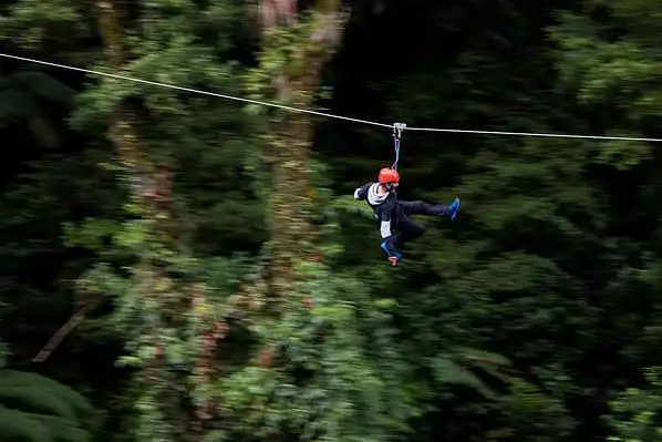 A person ziplining through a forest. 