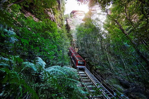 Blue Mountains tour deals