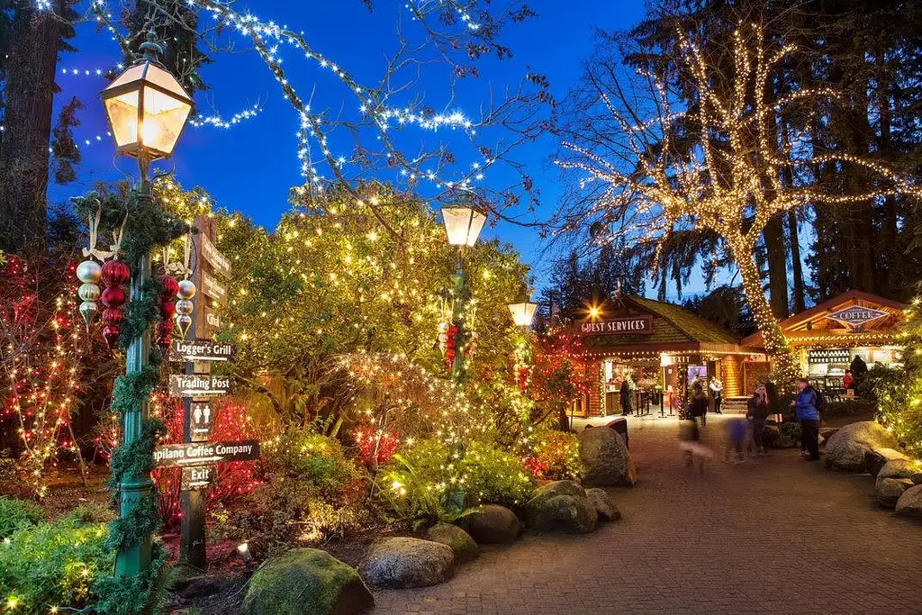 Vancouver and Capilano Canyon Lights Christmas Guided Tour