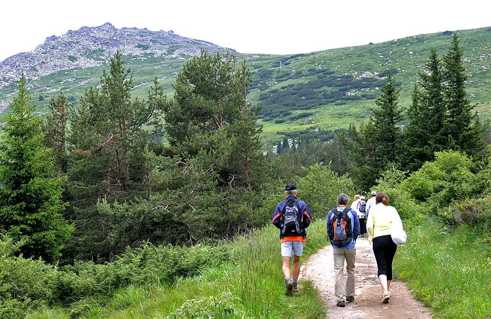 One-day Hiking Tour From Sofia To Vitosha Mountains