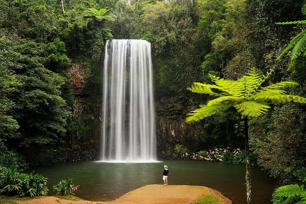 7 Day North Queensland Coast & Islands Adventure | Intrepid Tour