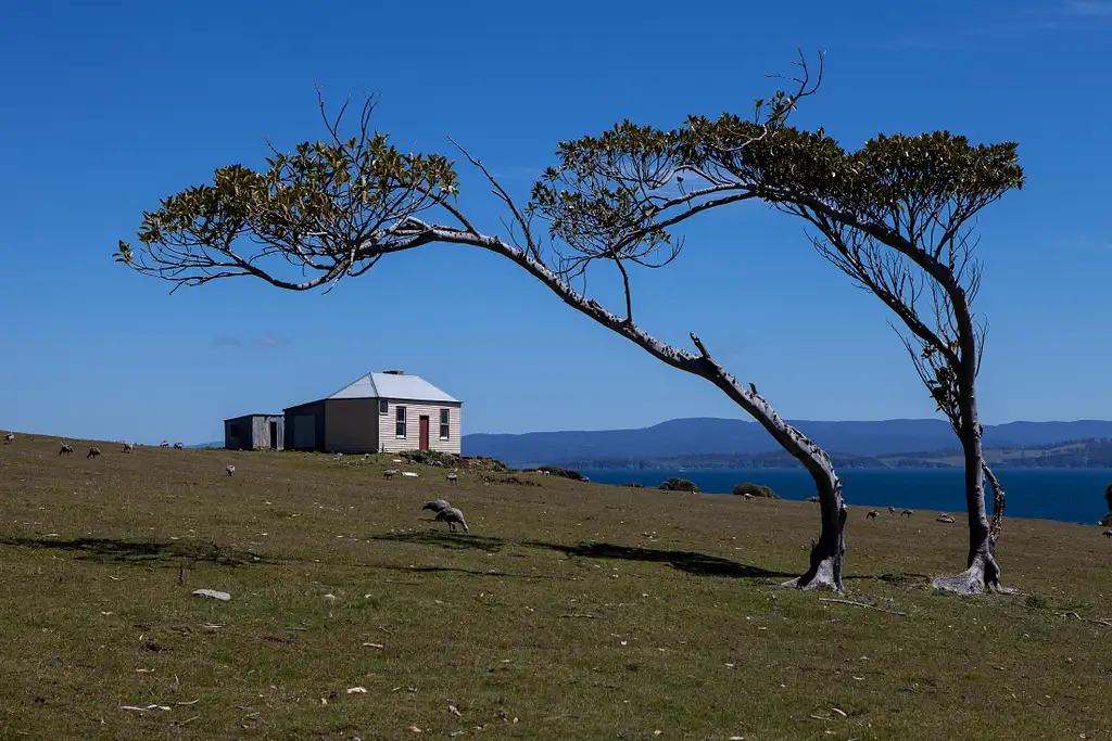 Maria Island Day Tour From Hobart
