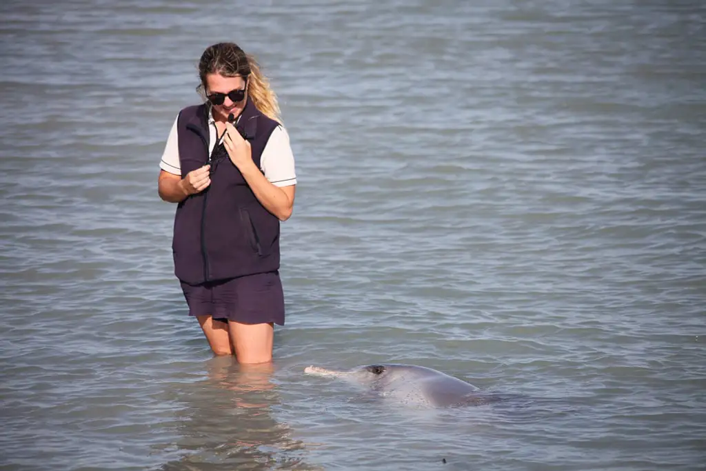 4 Day Perth to Monkey Mia Coastal Loop Return