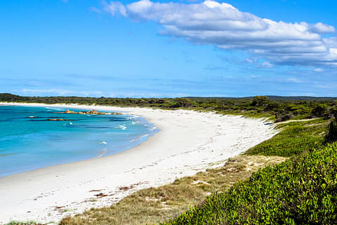 5 day Bay of Fires walking tour