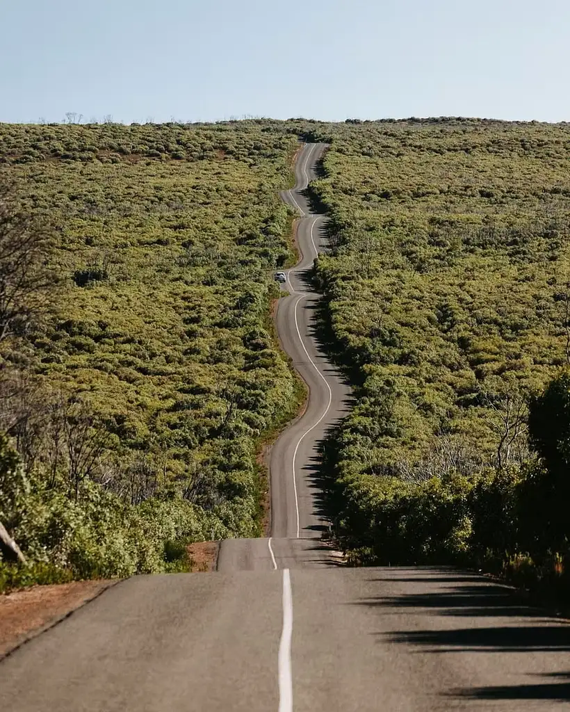 Scenic Nature & Wildlife Tour | From Kingscote
