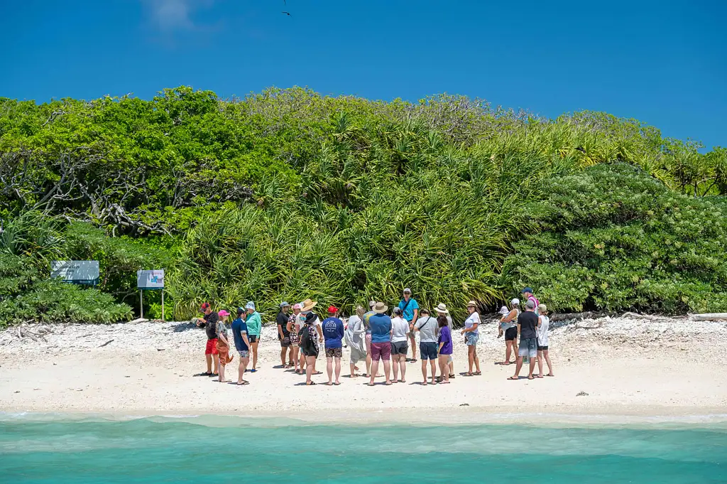 Lady Musgrave Experience Southern Great Barrier Reef Full Day Tour | From Bundaberg