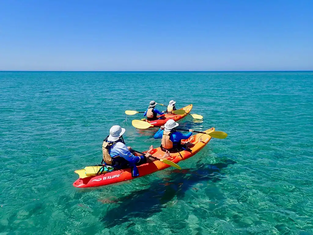 Turtle Tour - Half Day Sea Kayak & Snorkel Tour
